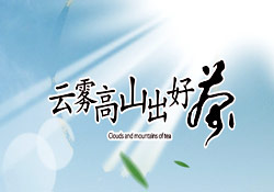 叙永县茶文化节宣传折页设计