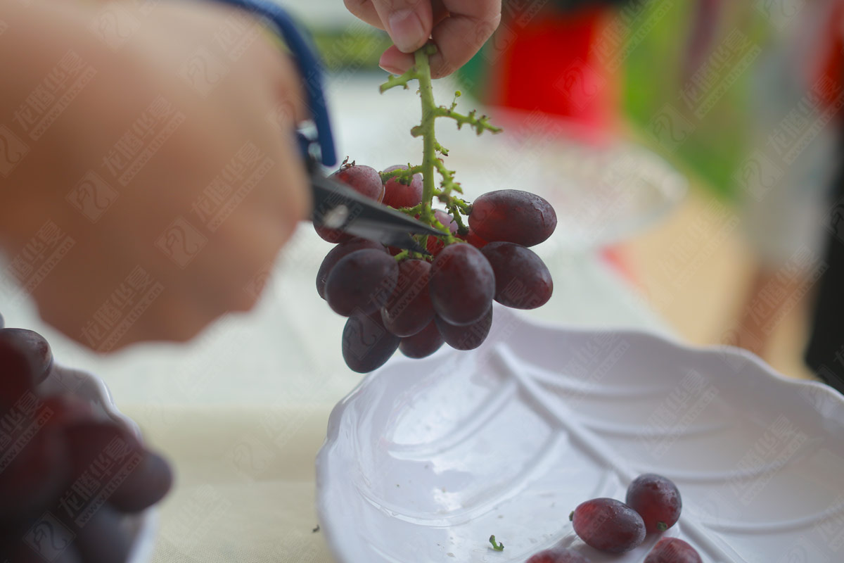 彭山葡萄节营销活动策划_成都葡萄节品牌营销策划公司