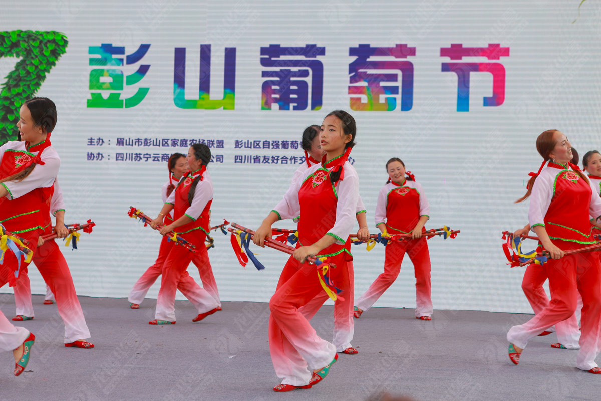 彭山葡萄节营销活动策划_成都葡萄节品牌营销策划公司