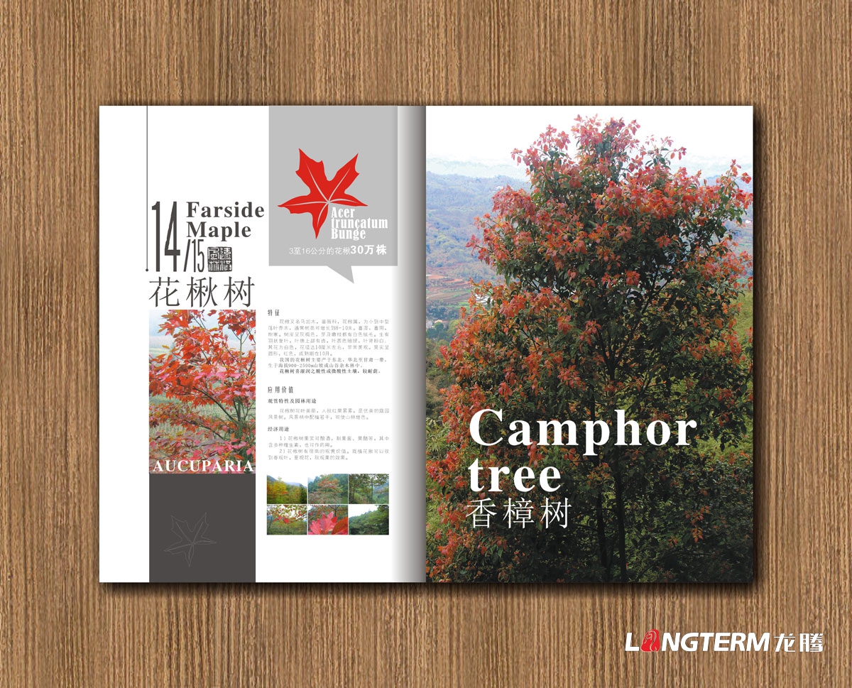 远红枫林林业公司画册设计_成都林业公司宣传画册设计公司
