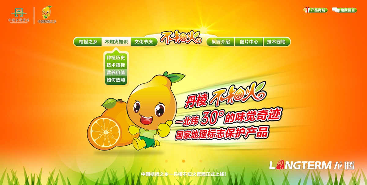 四川水果品牌策划营销推广公司|高端有机休闲水果品牌建设|水果电商互联网上行网络营销策划方案 四川水果品牌策划营销推广公司|高端有机休闲水果品牌建设|水果电商互联网上行网络营销策划方案