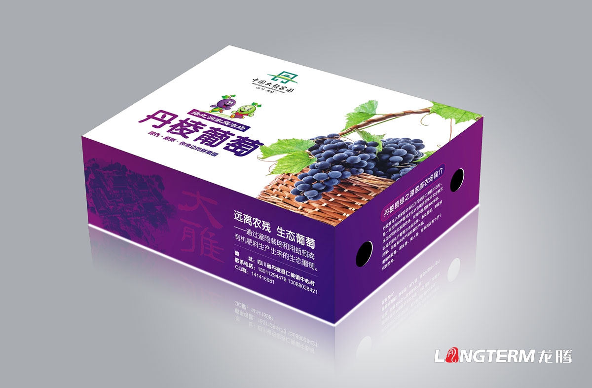 丹棱县葡萄包装设计|成都水果品牌形象包装礼盒设计公司|家庭农场有机生态葡萄包装设计