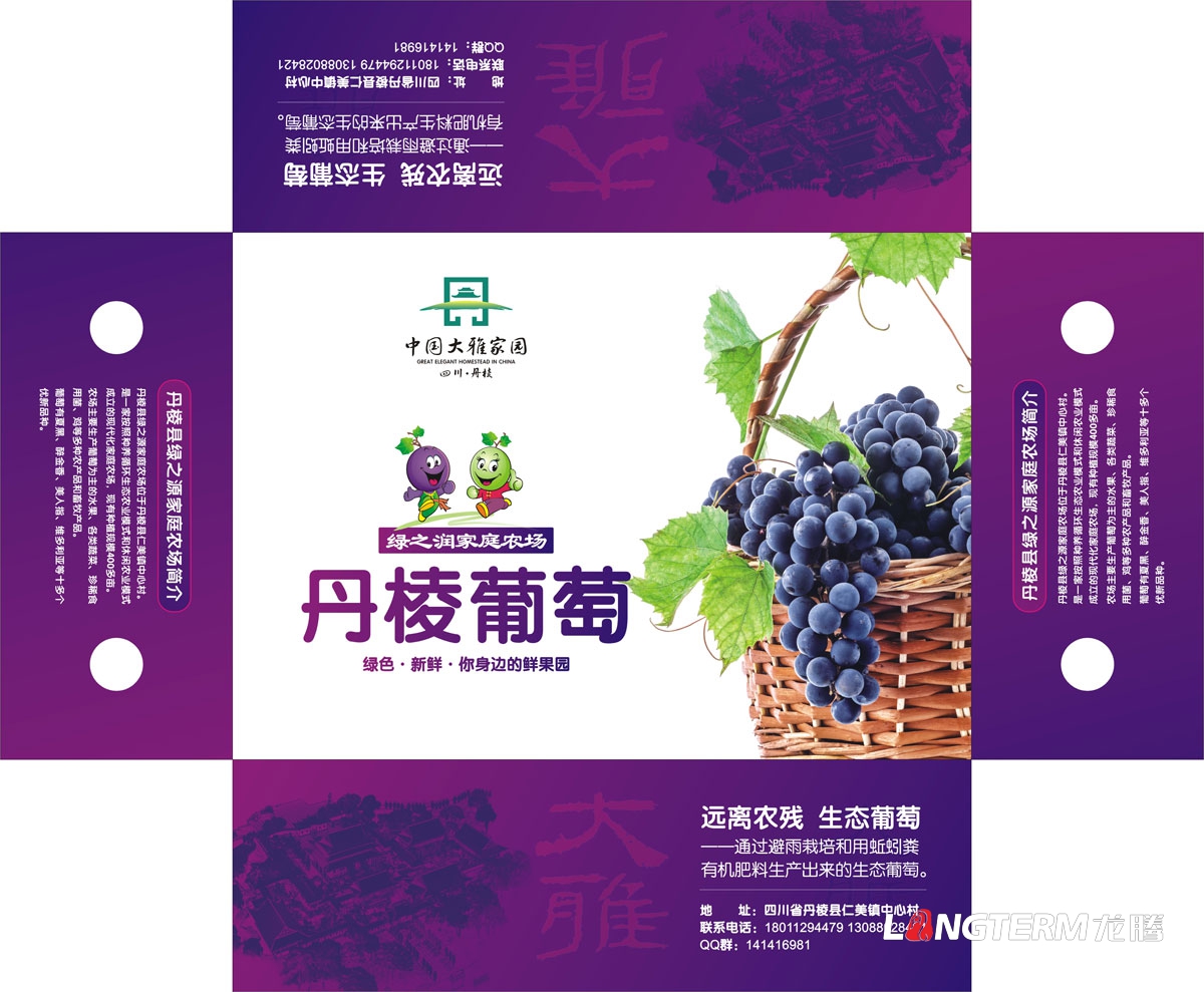 丹棱县葡萄包装设计|成都水果品牌形象包装礼盒设计公司|家庭农场有机生态葡萄包装设计