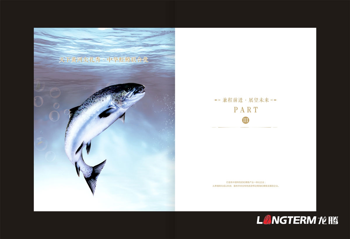 青海联合水产集团公司画册设计|成都水产公司企业品牌形象宣传册设计公司