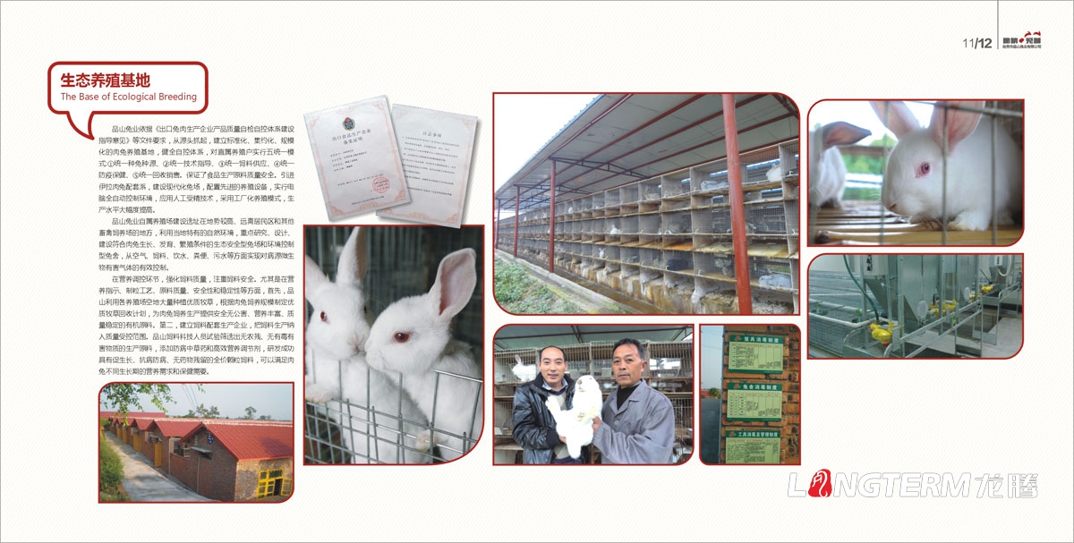 自贡市品山兔业有限公司宣传画册设计|兔业农业养殖业公司企业品牌形象宣传册设计