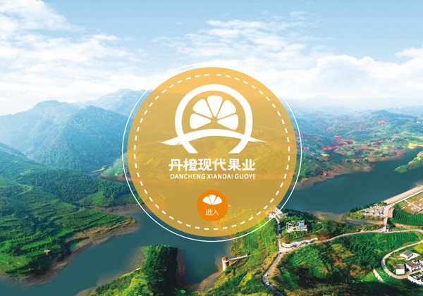 四川省丹橙现代果业有限公司官网设计
