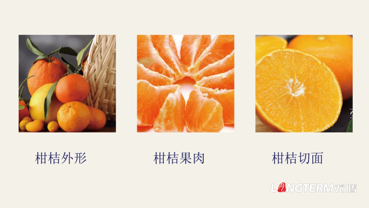 青神品牌策划视觉设计_成都水果品牌策划及形象LOGO标志设计