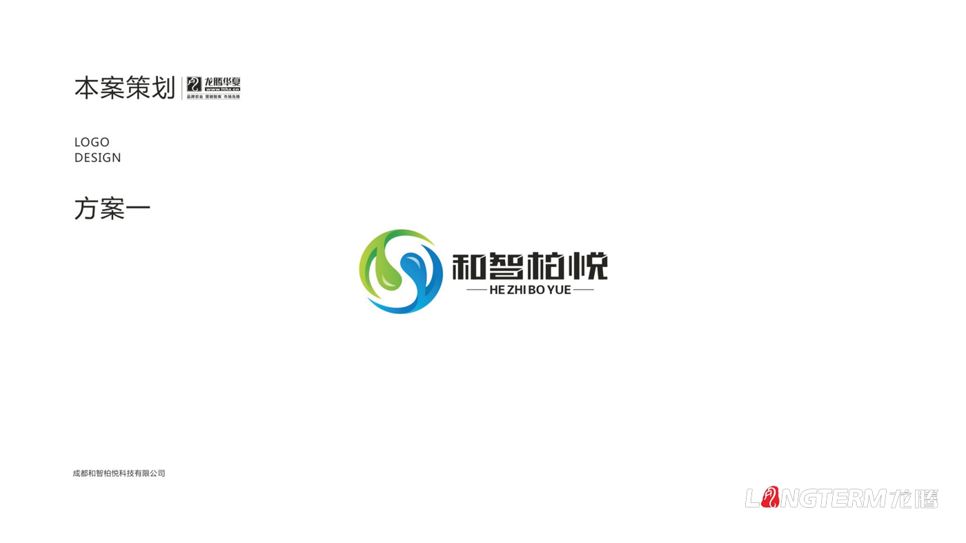 成都和智柏悦科技有限公司标志设计_科技公司品牌形象LOGO设计方案