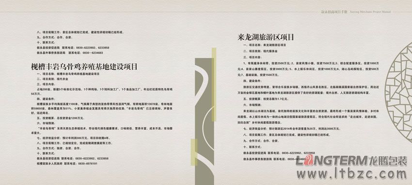 叙永县投资促进局招商项目手册设计