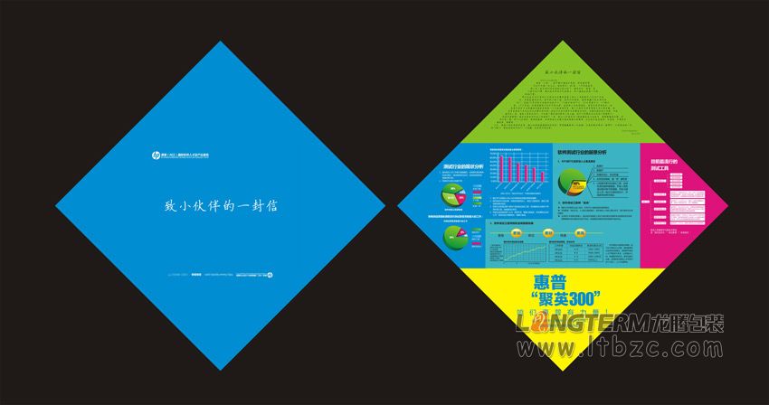 惠普(内江)国际软件人才及产业基地宣传设计