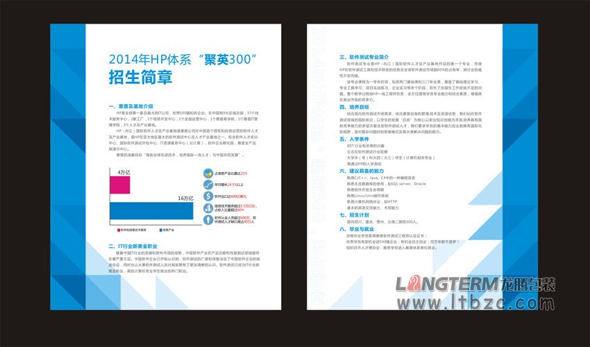 惠普(内江)国际软件人才及产业基地宣传设计