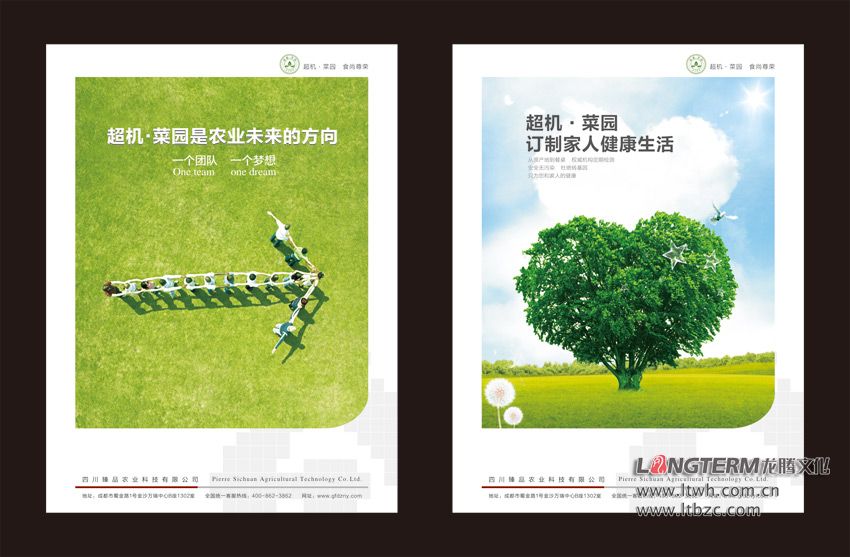 超机菜园文化上墙海报设计