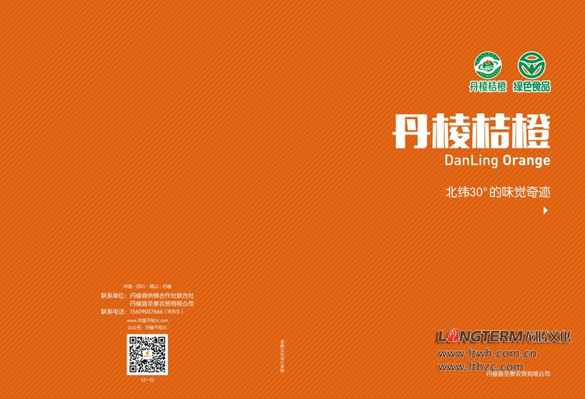 丹棱桔橙2015年招商画册设计