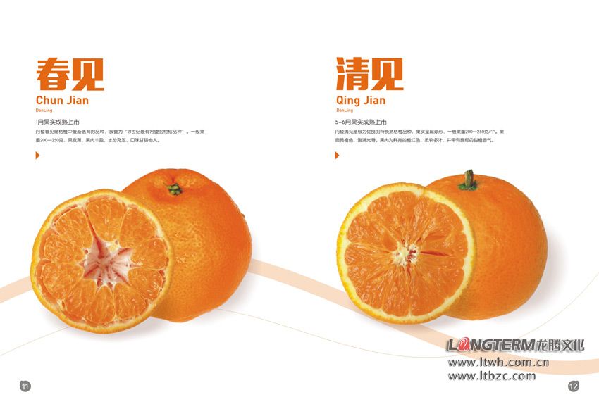 丹棱桔橙2015年招商画册设计
